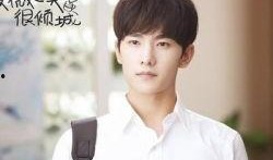 杨洋最新 爆料事件新闻,揭秘背后真相与影响