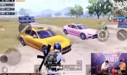 吃鸡车皮肤爆料最新2024,炫酷造型，等你来战！